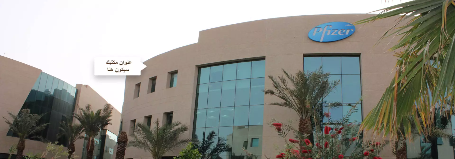 البوابة الإقتصادية