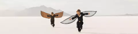 الشركاء